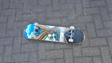 Tony Hawk Skateboard beschikbaar voor biedingen