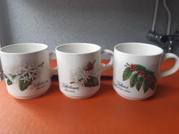 koffiemokken met koffieplant Villeroy & Boch Koffiebekers beschikbaar voor biedingen