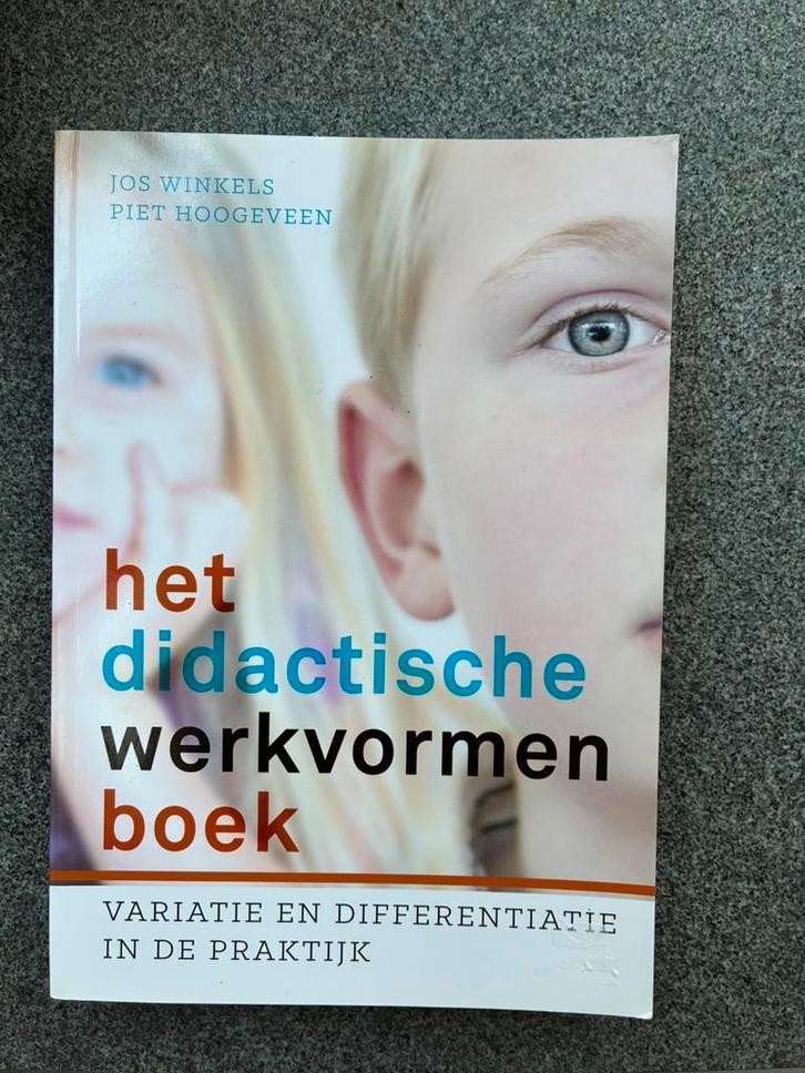 Piet Hoogeveen - Het didactische werkvormenboek, Boeken, Wetenschap, Zo goed als nieuw, Ophalen of Verzenden
