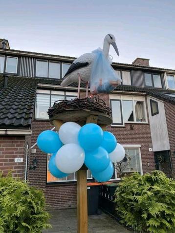 Ooievaar op nest. beschikbaar voor biedingen