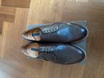 Nieuwe Massimo Dutti leren schoenen maat 43, Ophalen of Verzenden, Nieuw, Bruin, Veterschoenen