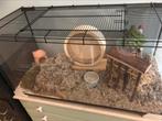 Terrarium hamsterkooi
