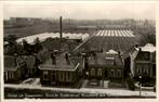 Sappemeer - Groet uit Zuiderstraat - Kwekerij tomatenkasssen, Ophalen of Verzenden, Voor 1920, Ongelopen, Groningen