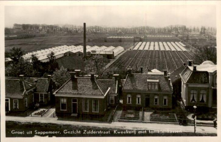 Sappemeer - Groet uit Zuiderstraat - Kwekerij tomatenkasssen, Verzamelen, Ansichtkaarten | Nederland, Ongelopen, Groningen, Voor 1920