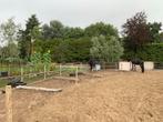 Leuke paddock Paradise, Dieren en Toebehoren, Weidegang