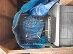 Vogel kooi met stokken. Gebruikt.., Ophalen of Verzenden, Gebruikt, Metaal, Vogelkooi