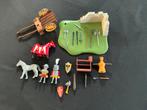 Playmobil paardenkar ed…., Ophalen of Verzenden, Zo goed als nieuw