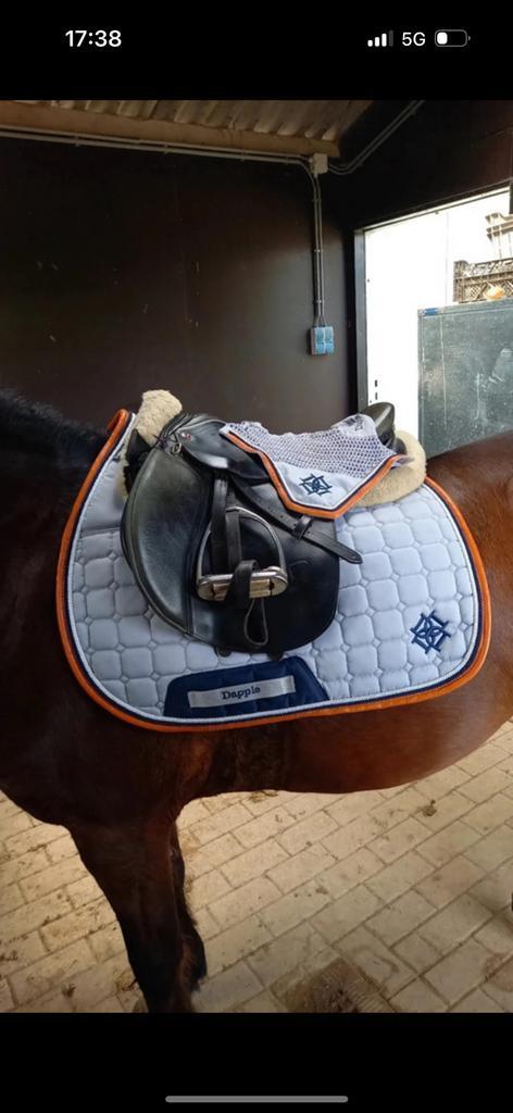 Dapple paardrij setje, Dieren en Toebehoren, Paarden en Pony's | Dekens en Dekjes, Zo goed als nieuw, Dekje, Ophalen of Verzenden