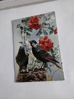 SPREEUWENPAAR, Ophalen of Verzenden, Sterren en Beroemdheden