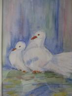 Aquarel schilderij: Duiven, Ophalen of Verzenden