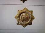 dun draadeind, Ophalen of Verzenden, Landmacht, Nederland, Embleem of Badge