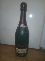 Kunststof decoratie fles, vintage. Canard Duchene champagne, Ophalen of Verzenden, Gebruikt