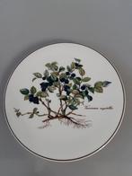 Onderzetter groot Villeroy en Boch Botanica, Ophalen of Verzenden, Overige stijlen, Porselein, Schaal of Schalen