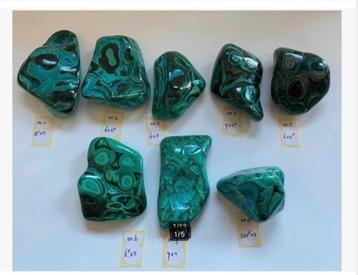 SALE 8 x Chrysocolla Malachiet gepolijste hand stuk pr.p.st. beschikbaar voor biedingen