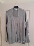 Mooi grijs vest met shirt met zilveren vlinders maat 38 40 M, Maat 38/40 (M), Ophalen of Verzenden, Zo goed als nieuw, Grijs