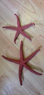 Twee Rode Zeesterren, Verzamelen, Ophalen of Verzenden, Zo goed als nieuw, Beeldje of Figuurtje