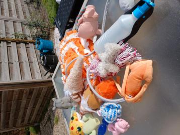 Allerlei (nieuw) hondenspeelgoed in 1 koop beschikbaar voor biedingen