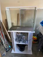 Superfish home 80 aquarium, Ophalen of Verzenden, Zo goed als nieuw, Leeg aquarium