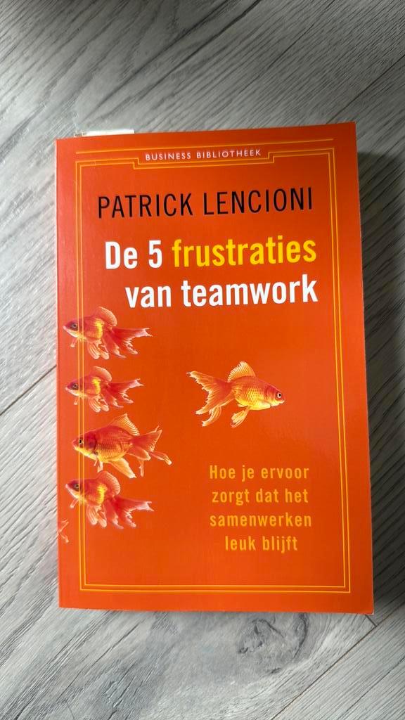 Patrick Lencioni - De 5 frustraties van teamwork, Boeken, Wetenschap, Zo goed als nieuw, Sociale wetenschap, Ophalen of Verzenden