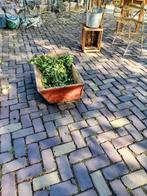 Mooie oude houten graan bak / trog, Antiek en Kunst, Ophalen