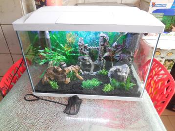 superfish tropisch aquarium start 70 compleet met toebehoren beschikbaar voor biedingen