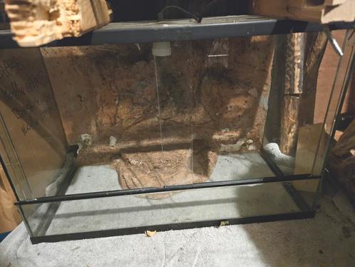 Terrarium 60x30x40, Dieren en Toebehoren, Reptielen en Amfibieën | Toebehoren, Gebruikt, Terrarium of Paludarium, Ophalen