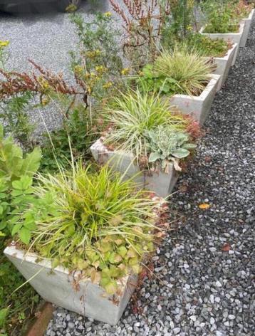 Leuke oude unieke vierkante potten met tuinplanten 40x39cm beschikbaar voor biedingen