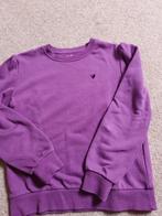 Sweater mt 140, Kinderen en Baby's, Kinderkleding | Maat 140, Ophalen, Zo goed als nieuw, Meisje, Trui of Vest