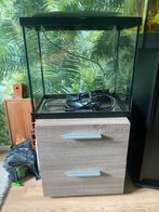 Aquarium super fish, Ophalen, Gebruikt, Leeg aquarium