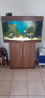 Aquarium Juwel Rio 125 liter, Ophalen of Verzenden, Zo goed als nieuw, Leeg aquarium