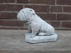 Hond Bulldog betonnen beeld tuinbeeld beton, Tuin en Terras, Tuinbeelden, Ophalen of Verzenden, Nieuw