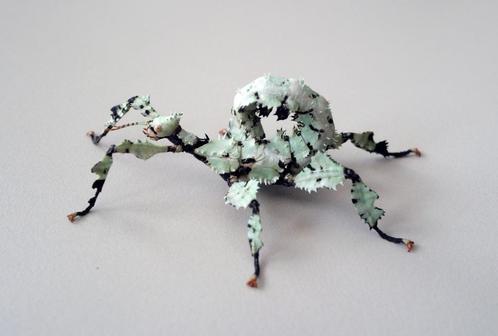 [Nymphs] Extatosoma Tiaratum 'Innisfail' Morph, Dieren en Toebehoren, Insecten en Spinnen, Wandelende tak
