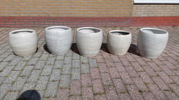 5 bloempotten voor in huis beschikbaar voor biedingen