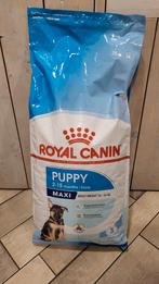 Hondenbrok. Royal Canin puppy maxi., Dieren en Toebehoren, Ophalen of Verzenden, Hond