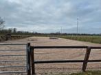 Privé Pensionstalling, Dieren en Toebehoren, Weidegang, 4 paarden of pony's of meer
