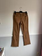 Dreamstar, maat 38, flaired broek, Ophalen of Verzenden, Zo goed als nieuw, Maat 38/40 (M), Bruin