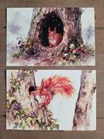 EEKHOORNS 5, Ophalen, Paard