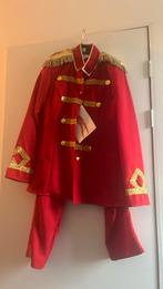 Carnavals pak, Ophalen of Verzenden, Zo goed als nieuw, Maat 38/40 (M)
