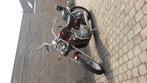 Suzuki intruder