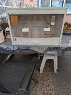 Broedkooi, Ophalen, Hout, Broedkooi of Kweekkooi