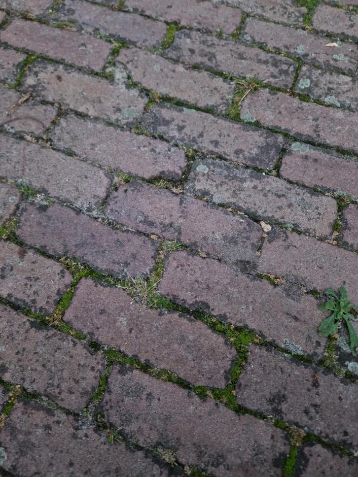 7m2 Oude Waaltjes - Klinkers, Tuin en Terras, Tegels en Klinkers, Gebruikt, Klinkers, Overige materialen, 5 tot 10 m², Ophalen