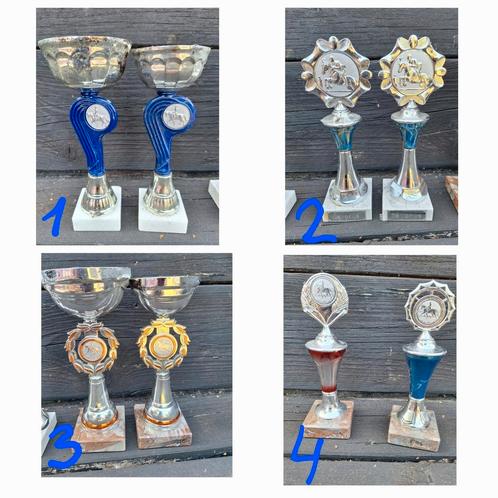 Sport prijzen paardrijwedstrijd, Dieren en Toebehoren, Paarden en Pony's | Overige Paardenspullen, Dressuur, Ophalen of Verzenden
