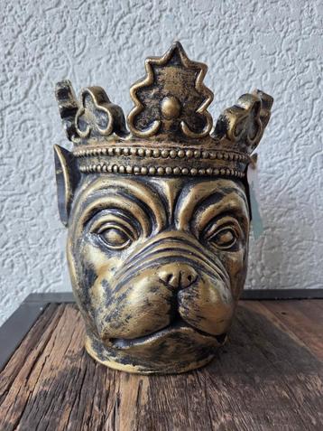 Gouden bulldog bloempot – Evergreen – Stoer & stijlvol beschikbaar voor biedingen