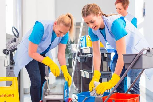 Schoonmaakwerk in Dordrecht – Parttime mogelijkheid!, Vacatures, Vacatures | Schoonmaak en Facilitaire diensten, Overige vormen