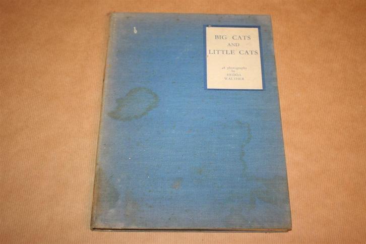 Big cats and little cats - 48 Photographs Hedda Walther 1934, Boeken, Dieren en Huisdieren, Gelezen, Vogels, Ophalen of Verzenden