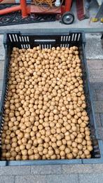 sweet amandel premium boilies, Watersport en Boten, Hengelsport | Karpervissen, Ophalen of Verzenden, Nieuw, Overige typen