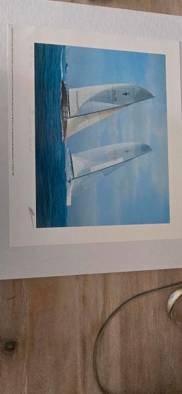 Print a.e 301/600 Tim Thompson ......... vs America 3 beschikbaar voor biedingen