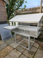 Spoetnik, Dieren en Toebehoren, Vogels | Duiven, Meerdere dieren, Postduif