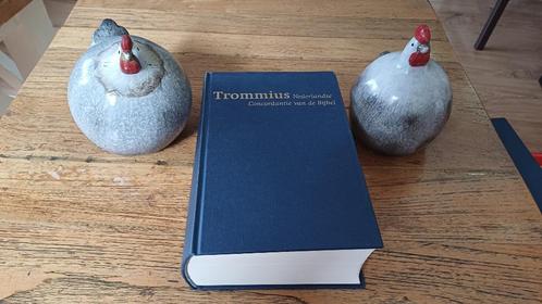 Trommius, Nederlandse Concordantie van de Bijbel, Boeken, Godsdienst en Theologie, Gelezen, Christendom | Protestants, Ophalen of Verzenden