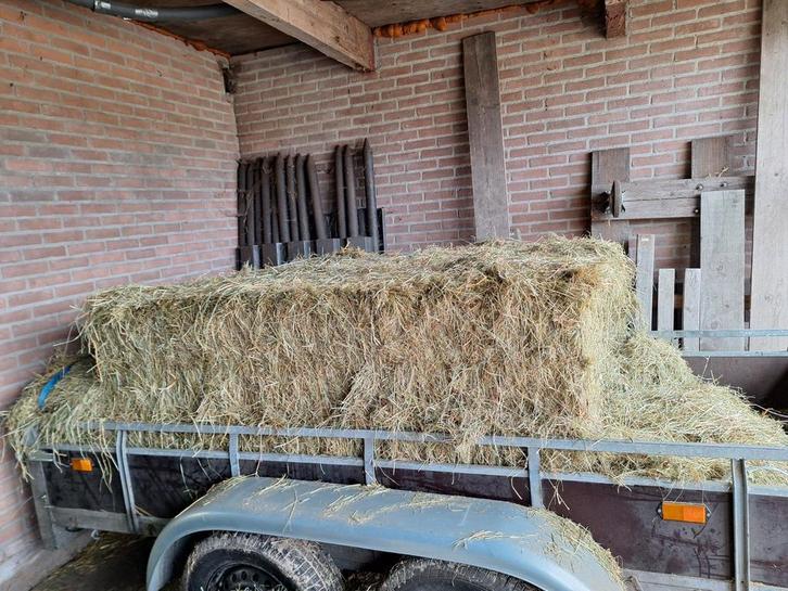 Groot pak mooi hooi, Dieren en Toebehoren, Dierenvoeding, Vee, Ophalen
